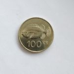 Монета Исландия 100 крон 2007